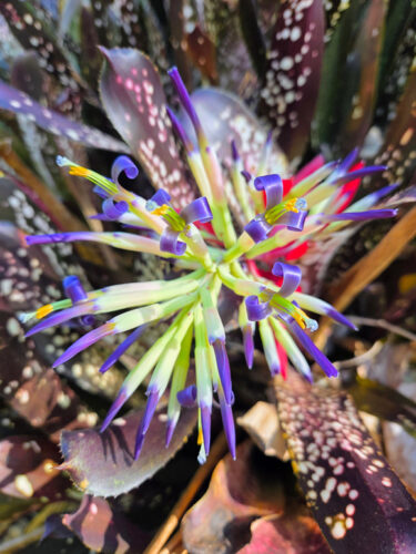 Send your best photos from Maui County to mauiphotos@mauinews.com for a chance to see them featured on our website and in our weekly print edition.